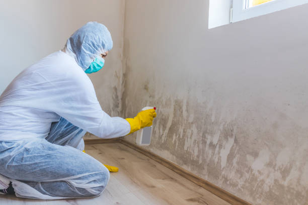 Licensed Mold Testing service in Kilmarnock, VA - WQB Mold Removal