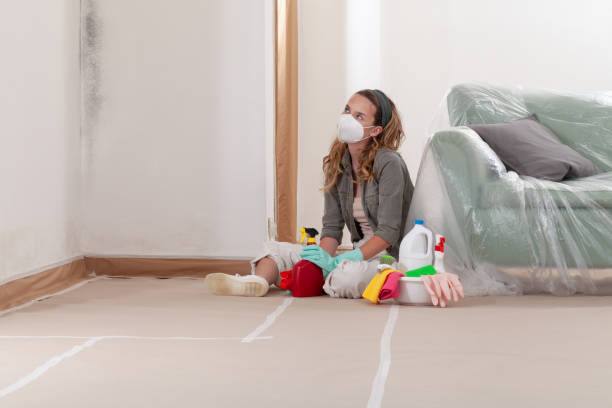 Reliable Mold Testing contractor in Kilmarnock, VA by WQB Mold Removal